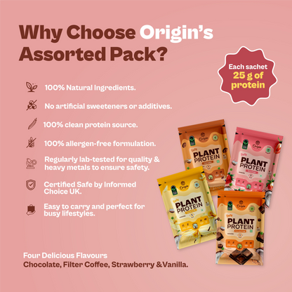 Daily Plant Protein - Assorted Pack