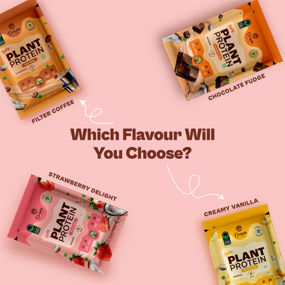 Daily Plant Protein - Assorted Pack