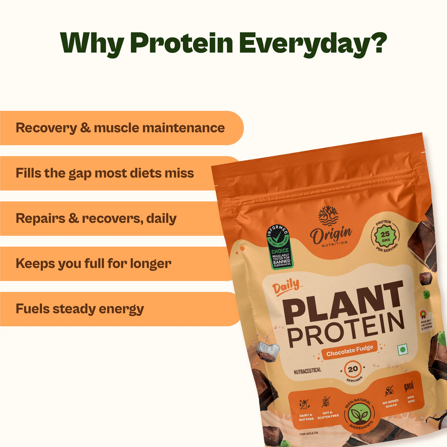Daily Plant Protein Filter Coffee & Greens+ Fibre Combo