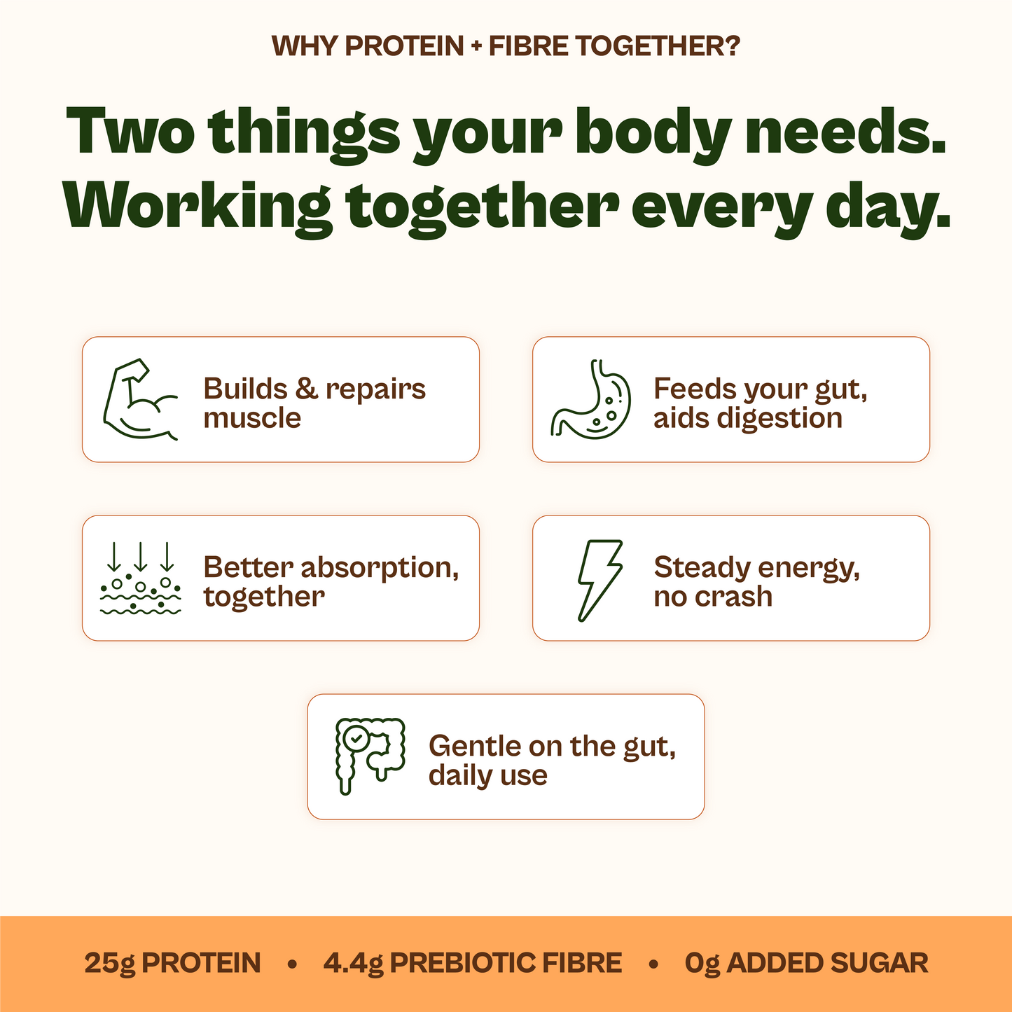 Daily Plant Protein Chocolate Fudge & Fibre + Greens Combo