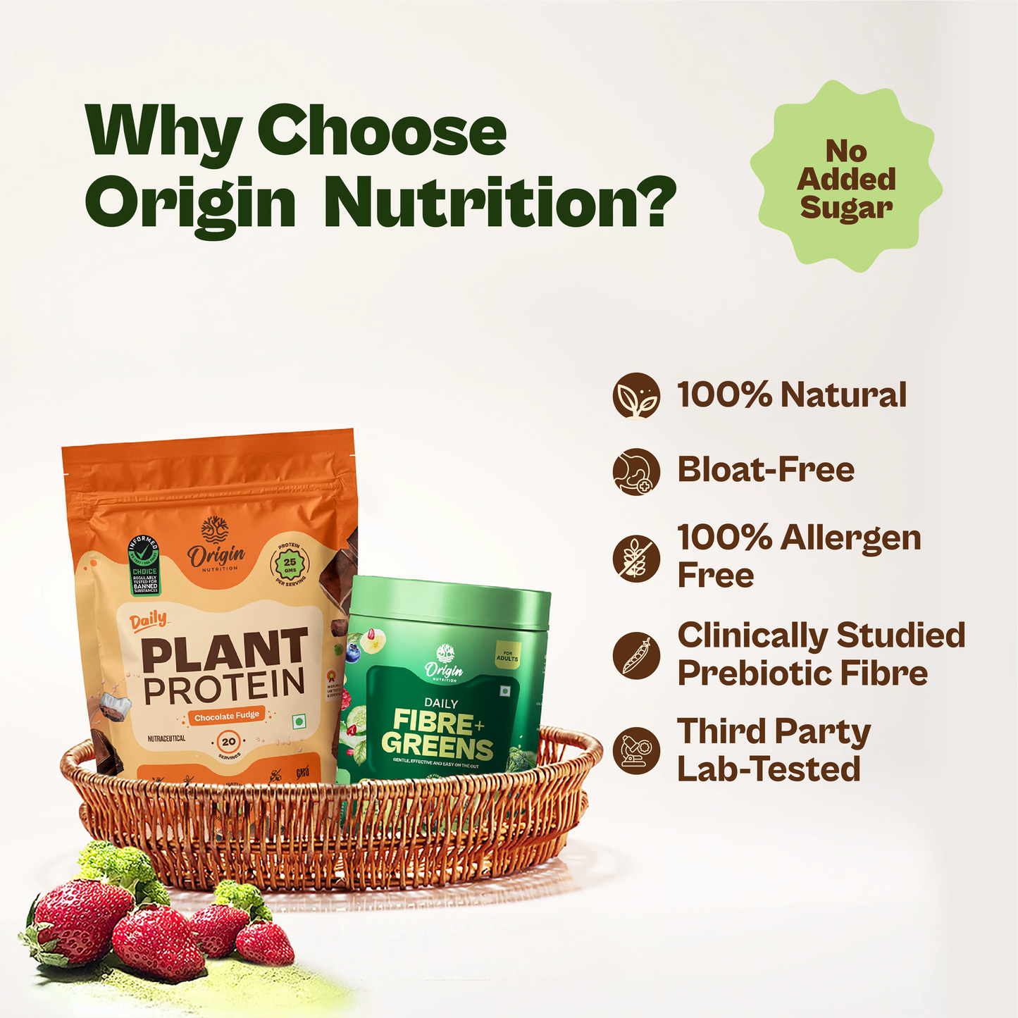 Daily Plant Protein Chocolate Fudge & Fibre + Greens Combo