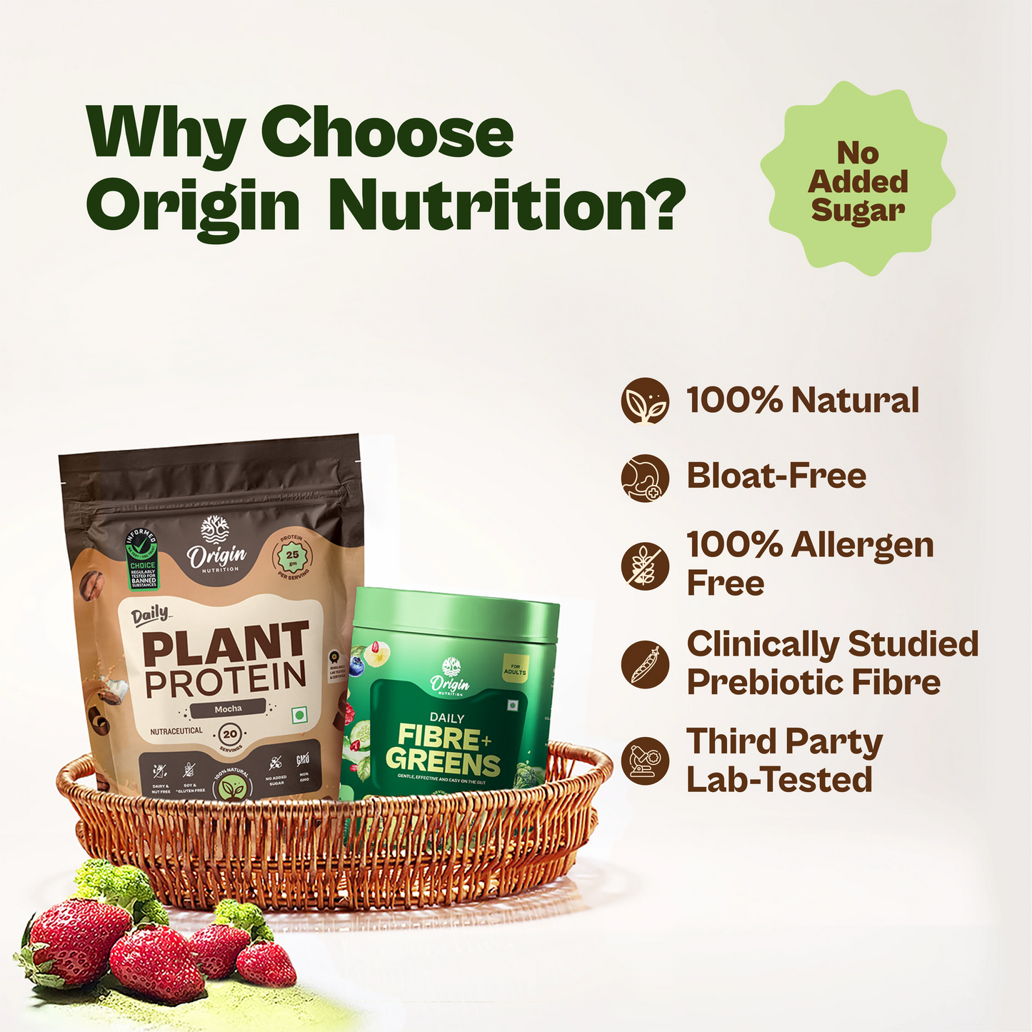 Daily Plant Protein Mocha & Fibre + Greens Combo