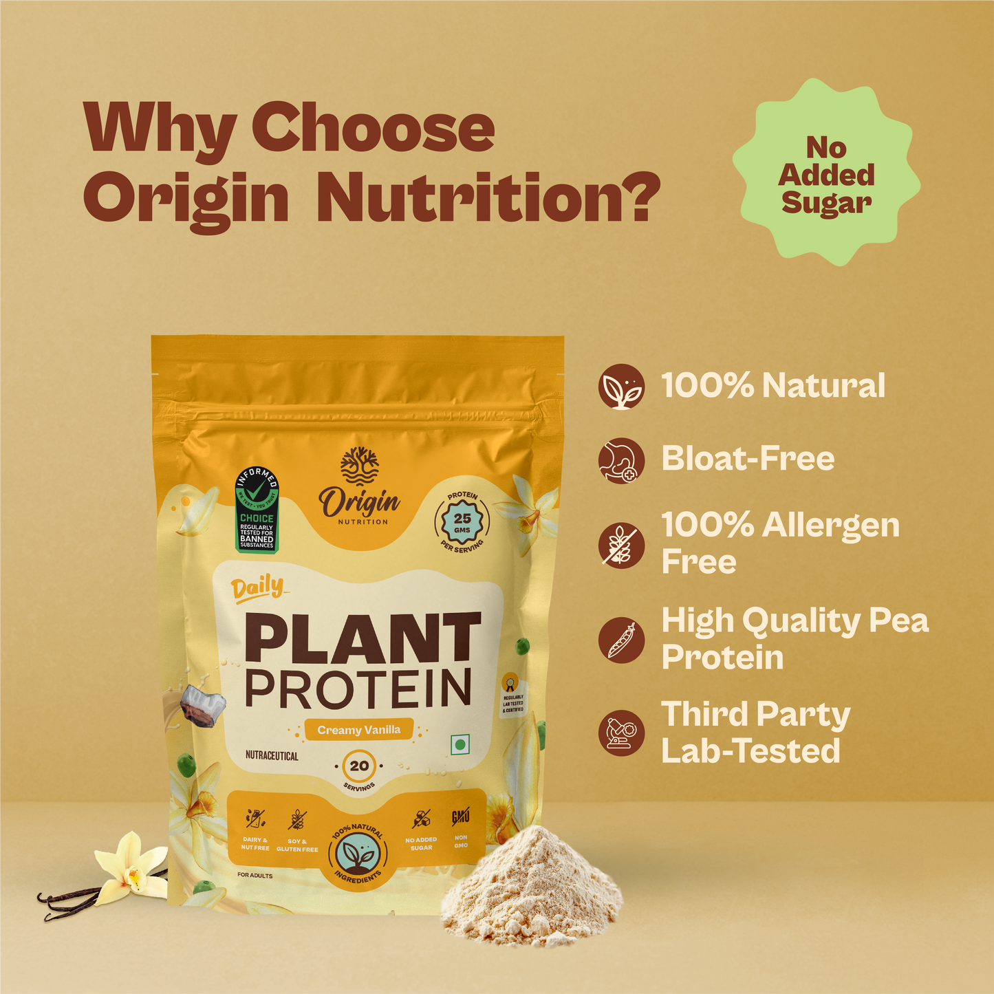 Daily Plant Protein - Creamy Vanilla