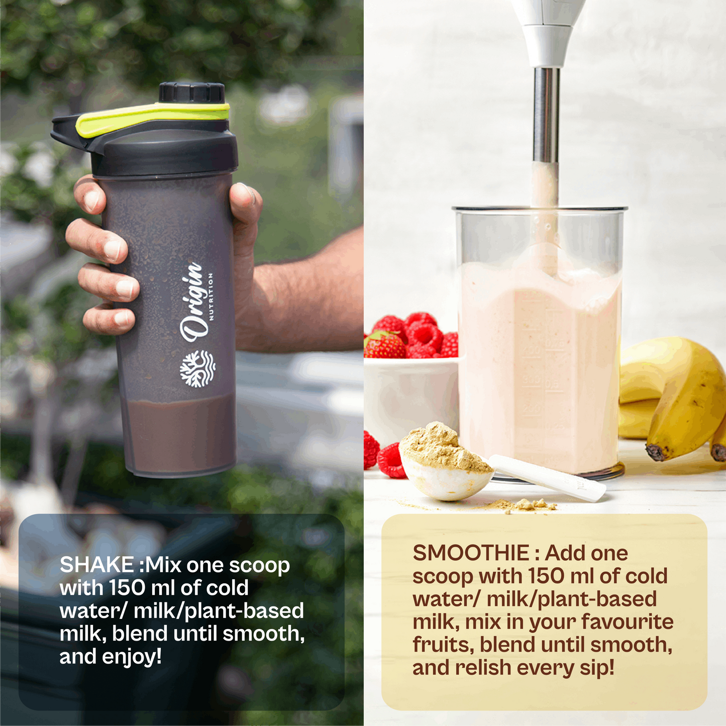 Daily Nutrition for Seniors