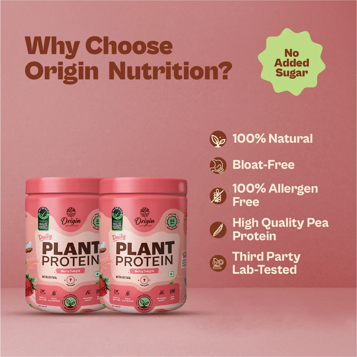 Daily Plant Protein - 14 Day Strawberry Delight Combo