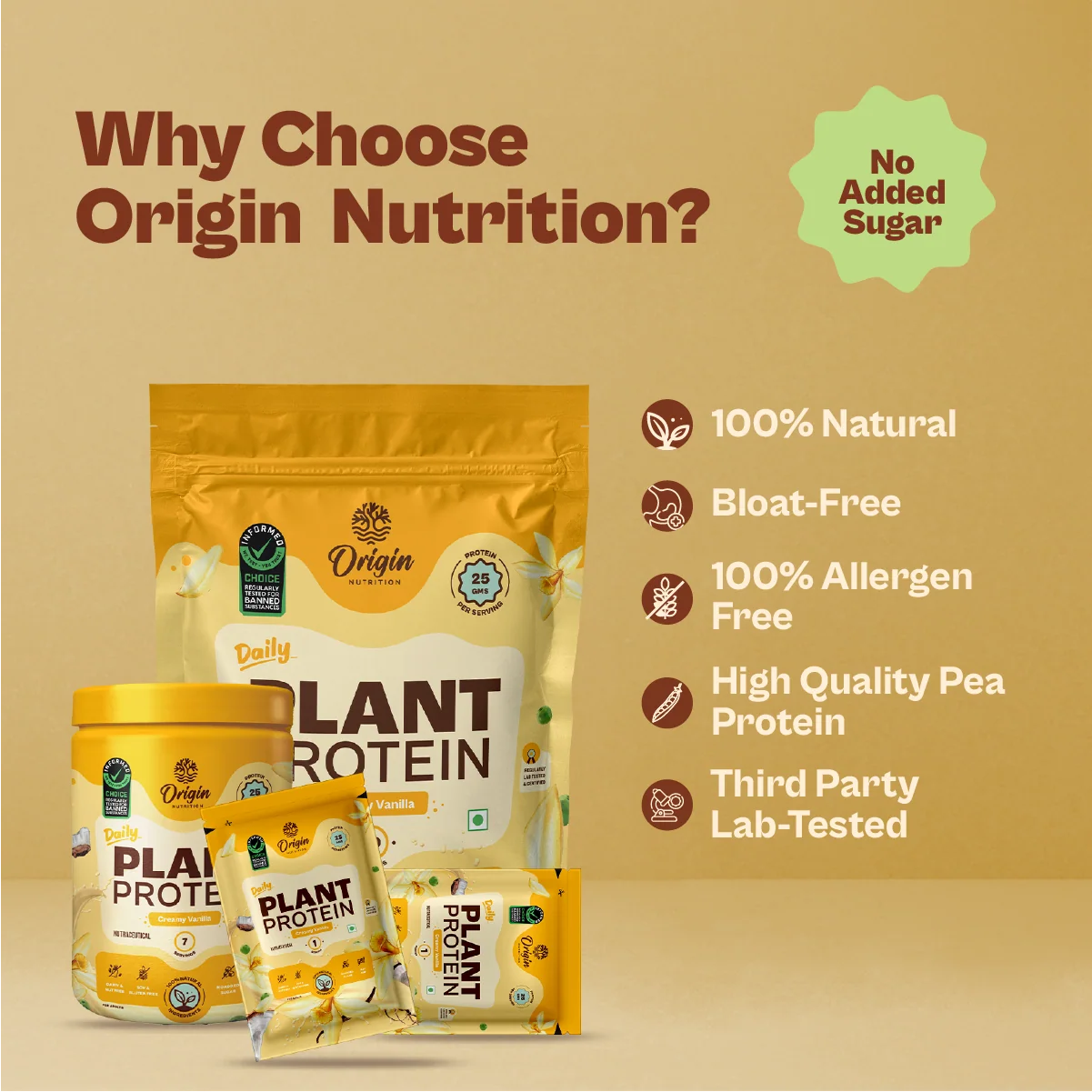 Daily Plant Protein - 31 Day Creamy Vanilla Combo
