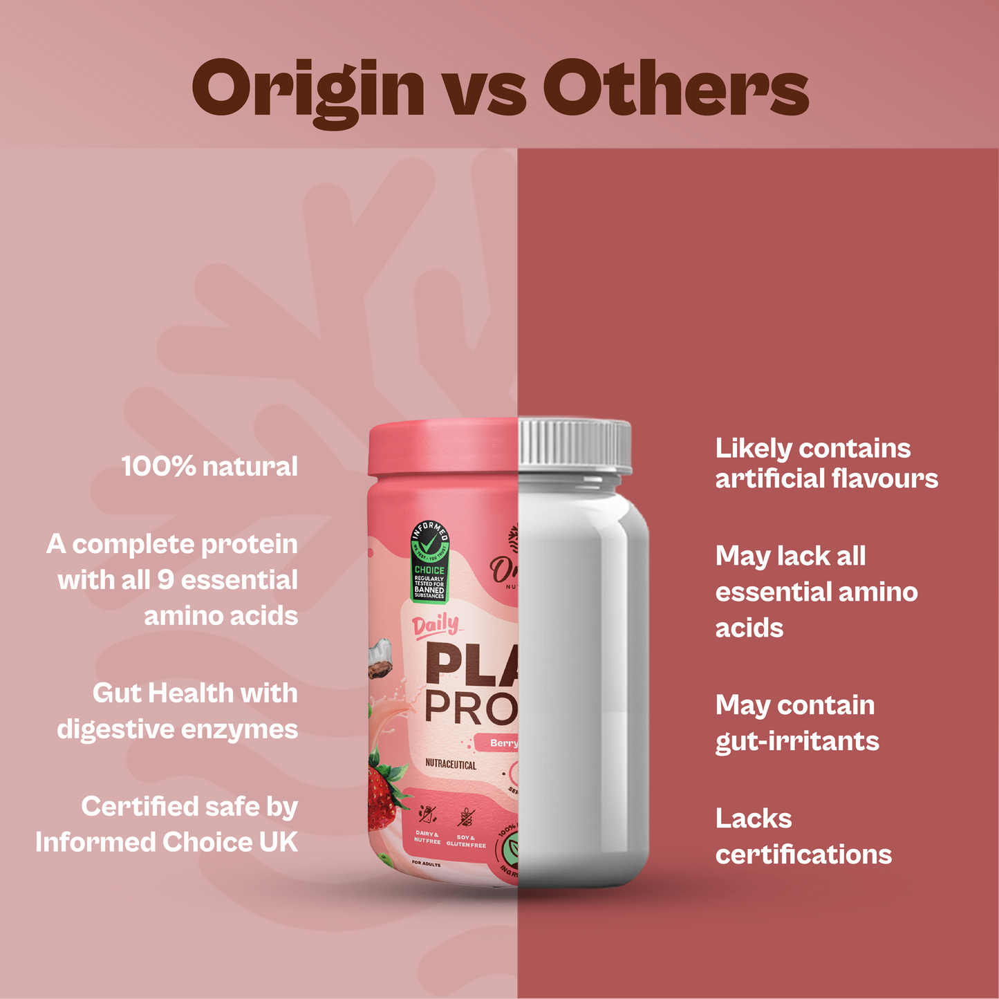 Daily Plant Protein  - Strawberry Delight (Jar)